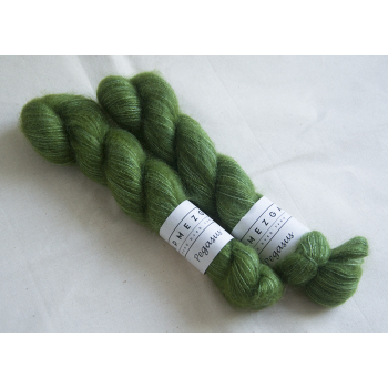 Apmezga Pegasus kol. F-179